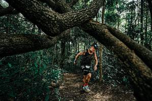 BIB: 
                            <button type="button" onclick="openModal(25664180)" class="btn btn-primary btn-sm float-right btn-popup" data-toggle="modal" data-target=".modal-high-quality">
                        <i class="fas fa-shopping-cart"></i> Add to Cart
                    </button>
                                            <button type="button" onclick="isThisMe(25664180, true)" class="btn btn-success btn-sm float-right btn-popup btn-isme hidden" data-toggle="tooltip" data-placement="bottom" title="นี่คือรูปของคุณใช่ไหม คลิกที่นี่เพื่อเอาเข้าอัลบั้ม">
                        <i class="fas fa-plus"></i> Add to album
                    </button>
                    <button type="button" onclick="isThisMe(25664180, false)" class="btn btn-warning btn-sm float-right btn-popup btn-isnotme hidden">
                        <i class="fas fa-ban"></i> Remove from album
                    </button>